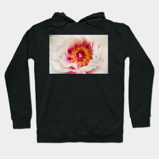 White Peony Hoodie